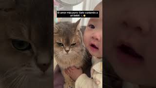 ¡No podrás creer cómo este gatito cuida a su mejor amigo bebé 🐱👶💖 bebe gatitos [upl. by Zetes220]