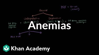 Microcytic normocytic and macrocytic anemias  NCLEXRN  Khan Academy [upl. by Klarrisa]