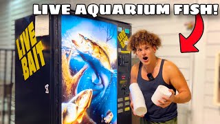 I Found VENDING MACHINE Filled With LIVE AQUARIUM FISH [upl. by Googins]