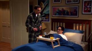 The Big Bang Theory  Season 3 Episode 15 [upl. by Nilat724]