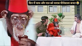 कादर खान का मजेदार बंदर चाय भी पीता है और शराब भी 😂  Kader Khan  Asrani  Amjad Khan Comedy [upl. by Lotson]