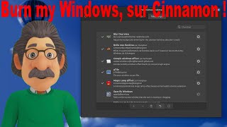 Linux Burn my Windows débarque sur Linux Mint Cinnamon [upl. by Luhe253]