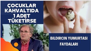 BILDIRCIN YUMURTASININ FAYDALARI  Bıldırcın Yumurtasının Zararları [upl. by Nyraf271]