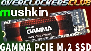 Blistering Speed Mushkin Gamma PCIE 40 M2 SSD [upl. by Valentino]