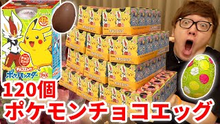 ポケモンチョコエッグ全種類出るまで120個開封www【ヒカキンTV】 [upl. by Suoivatram947]