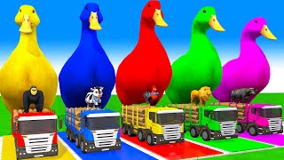 5 Giant Duck CartoonCowElephantGiraffeTigerLion Paint Wild Animals Crossing Fountain Animation [upl. by Ecirtahs]