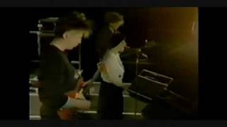 Cocteau Twins  Lorelei live at The OGWT [upl. by Aia64]