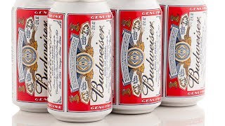 The Real Reason Budweiser Is Bombing [upl. by Assillam]