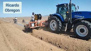 TS6140 Elite con TripleBordero amp TripleAcamadora Trabajando En El Desierto Fuerza y Robustes🚜💨🇲🇽💪 [upl. by Sorazal]