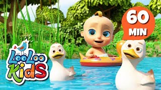 Five Little Ducks  S2EP58 Musical Adventure Collection  LooLoo Kids Songs for Kids [upl. by Vita624]