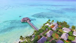 Reef amp Beach Resort  Best accommodation Zanzibar [upl. by Katzir]