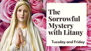 The Sorrowful Mystery with Litany  Holy Rosary of Our Blessed Virgin Mary [upl. by Heady]