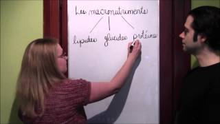 12 Biochimie  Intro aux macronutriments [upl. by Elrod]