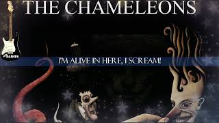 The Chameleons  Soul In Isolation  Instrumental  Karaoke [upl. by Gnoz297]