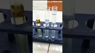 Action of Salivary amylase on Starch [upl. by Joshua280]