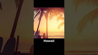 Knock Knock Joke Whos There Hawaii [upl. by Ynagoham287]