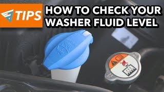 How To Check Your Washer Fluid Level  EZ Tips Ep22 [upl. by Anerev]