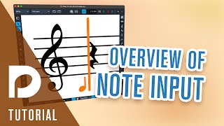 Overview of Note Input  Note Input [upl. by Bowyer844]