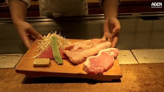 Highend Chicken amp Pork Teppanyaki  Tokyo Lunch Japan [upl. by Araik]