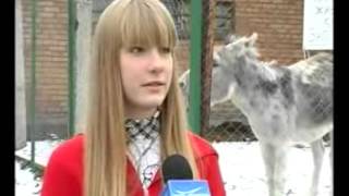 Donkey Interrupts Interview by Farting [upl. by Mohsen345]