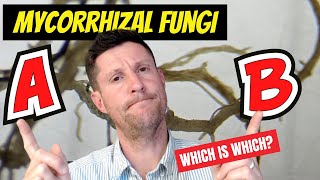 Mycorrhizal Fungi  Know what type you need in your garden [upl. by Oirramaj132]