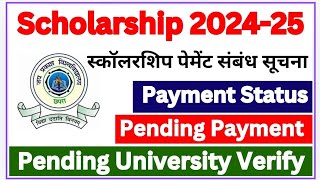 Scholarship 202425  Jp University scholarship 2024  scholarship matric  Intermediate [upl. by Wills]