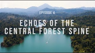 Episode 4 Echoes of the Central Forest Spine [upl. by Cormier]