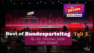 Parteitag des Grauens  Die Linke Teil 3 [upl. by Llenrahc455]