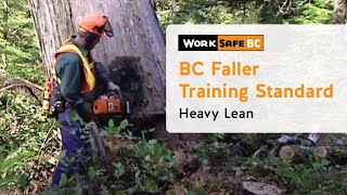 BC Faller Training Standard  Heavy Lean 12 of 17 [upl. by Datnow]