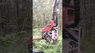 Modern Logging Robot Replaces 100 Lumberjacks A Game Changer in Forestry [upl. by Arvonio139]