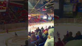 When Utica Comets scored last night ♥️ [upl. by Sharma454]