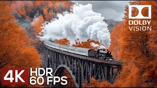 Wonderful 4K HDR 60FPS Dolby Vision  4K Video ULTRA HD [upl. by Nivak]