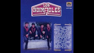 Los Indomables  Tampico Hermoso [upl. by Ardnuyek530]