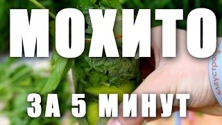 КАК сделать МОХИТО за 5 минут очень вкусное и освежающее [upl. by Wolf]