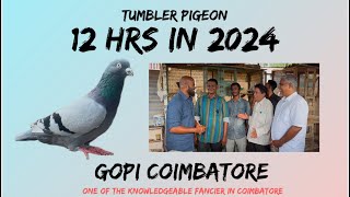 gopi Coimbatore 12 hrs  in 2024 one of the knowledgeable fancier [upl. by Aoht83]