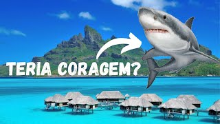 MERGULHO COM TUBARÕES em Ilha Paradisíaca I BORA BORA Polinésia Francesa [upl. by Ahsemrac970]