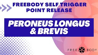 Peroneus Longus and Brevis Self trigger Point Release [upl. by Kcin306]