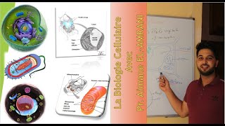 Introduction à la Biologie cellulaire Et la différence entre La Cellule Eucaryote et Procaryote [upl. by Acissj50]