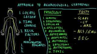 Approach to neurological syndromes [upl. by Ruberta]