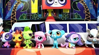 Red Carpet Collector  Czerwony Dywan  Littlest Pet Shop  A6273  Recenzja [upl. by Bora]