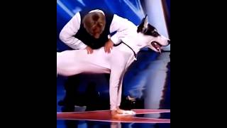 Man transforms into a Dog on AGT Americas got talent😱😂 Duo SchumacherAGTamericagottalentmagic [upl. by Darrej]