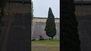 Healesville dam in Melbourne must visit [upl. by Eiddet964]