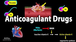 Pharmacology Anticoagulants Animation [upl. by Obola]