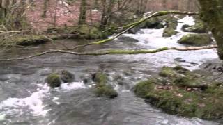 Force Falls Rusland Beck Grizedale Forest Park Cumbria [upl. by Ynohta]