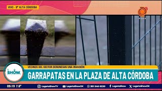 Invasión de garrapatas en la plaza de Alta Córdoba [upl. by Iver]