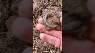 The time is up 2024 metal detecting trending [upl. by Suolevram]