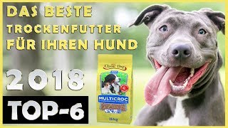 🔥Hunde Trockenfutter Test 🔥 Welches Trockenfutter Für Hunde Ist Das Beste 🐶 [upl. by Kyrstin]