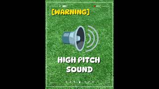 HIGH PITCH SOUND WARNING 🔊 soundeffects [upl. by Tennek988]