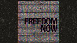 Nick Mulvey feat Golshifteh Farahani and Arooj Aftab  Freedom Now Lyric Video [upl. by Kiryt]