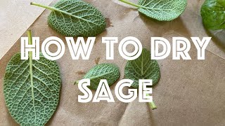 How to Dry Sage [upl. by Atsahc]